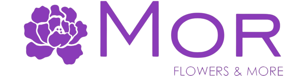 Çelenk Gönder 0553 115 66 64