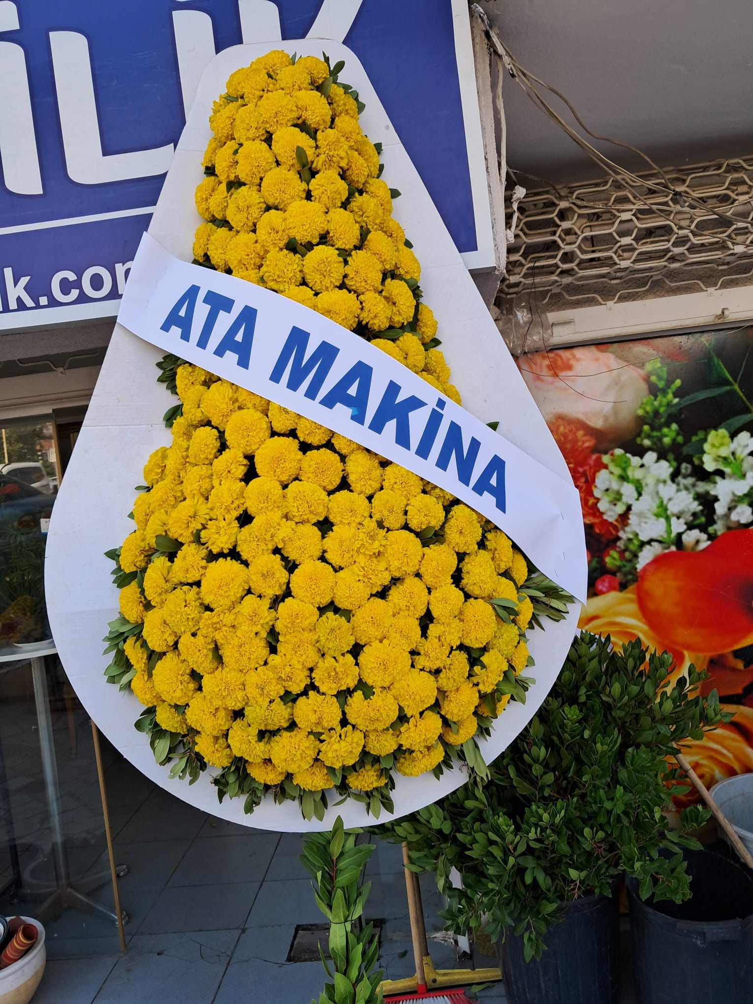 Canlı Armut Model Tekli Çelenk