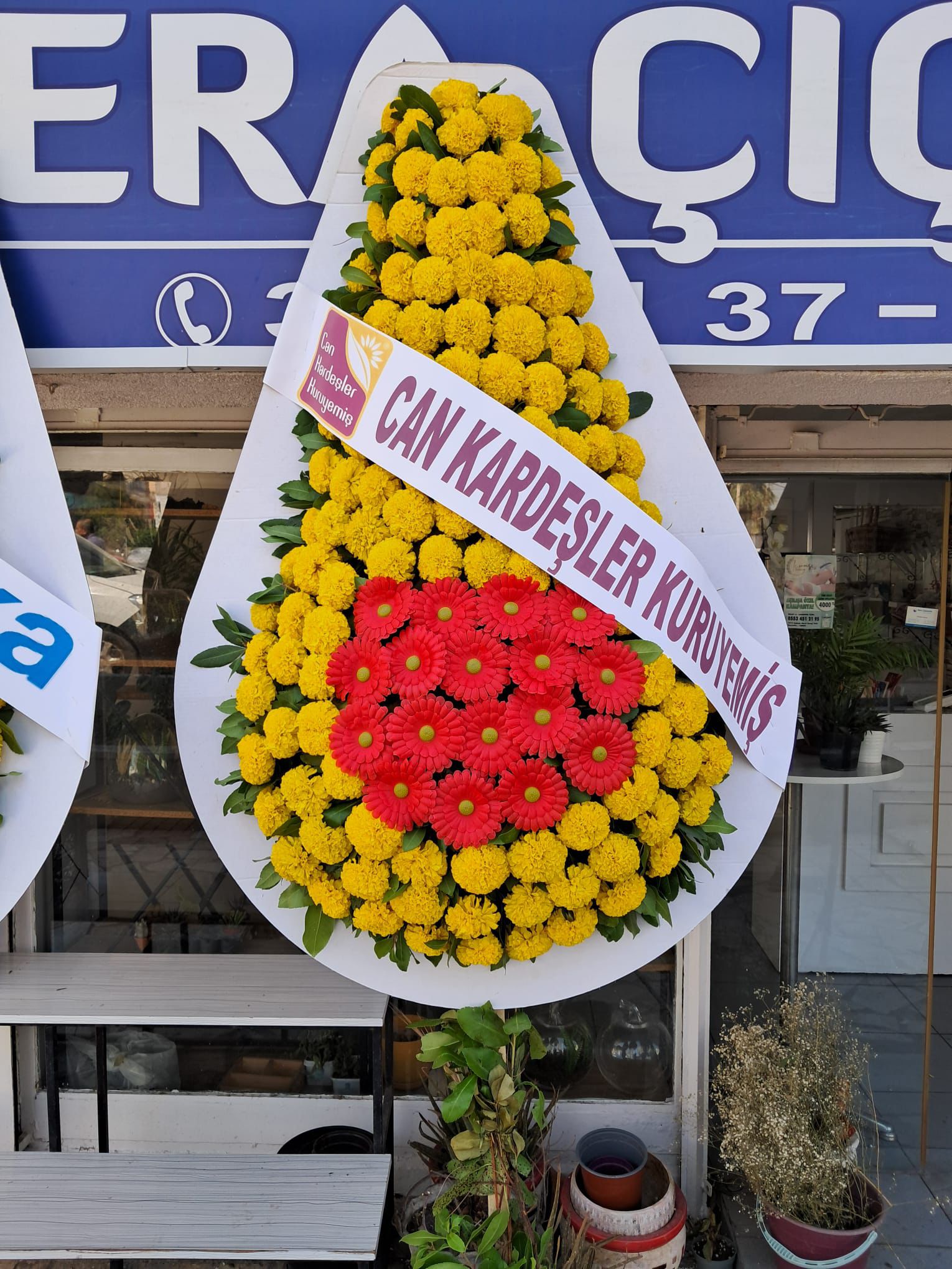 Canlı Armut Model Tekli Çelenk