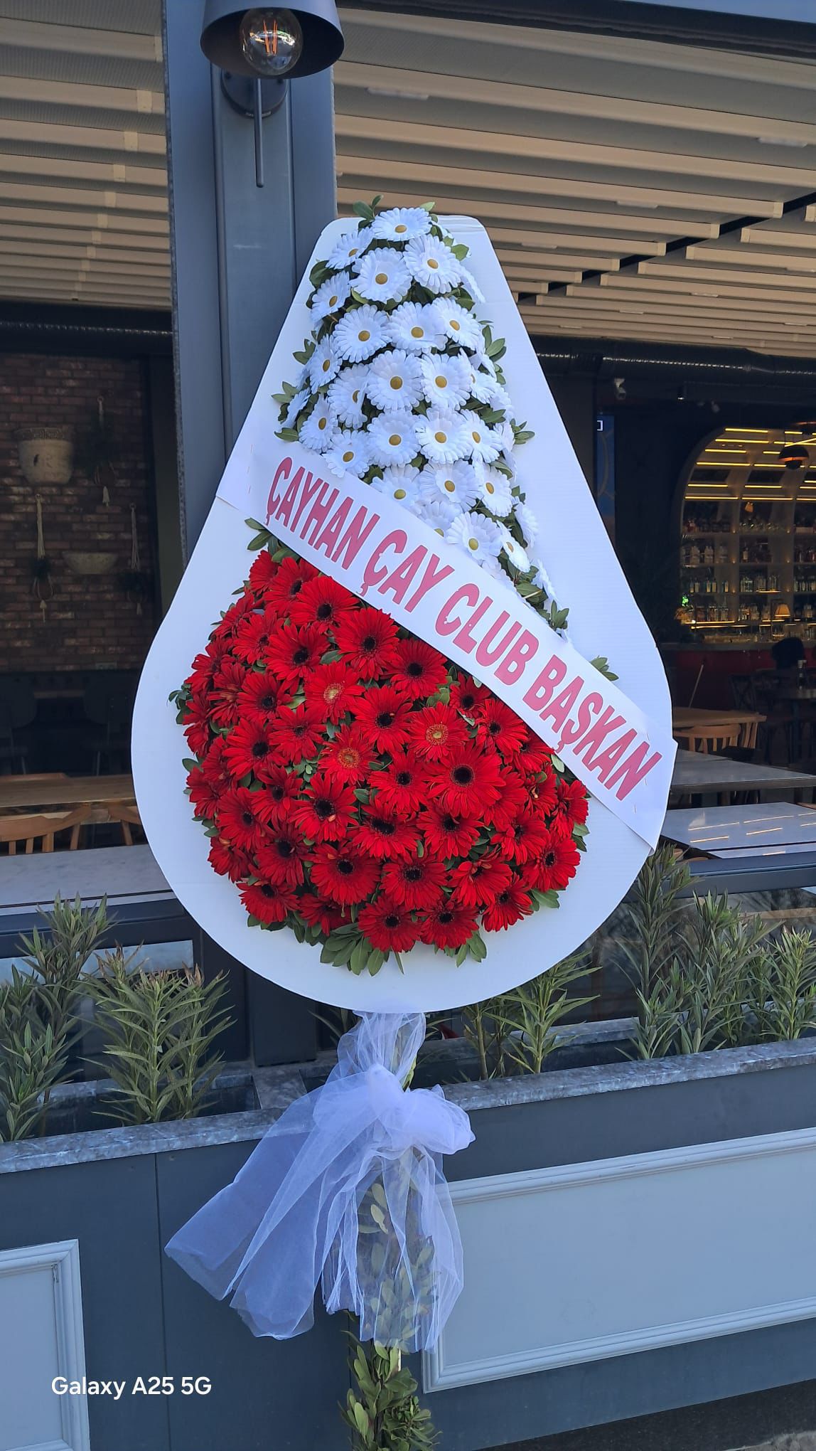 Canlı ve Kalıcı Armut Model Tekli Çelenk