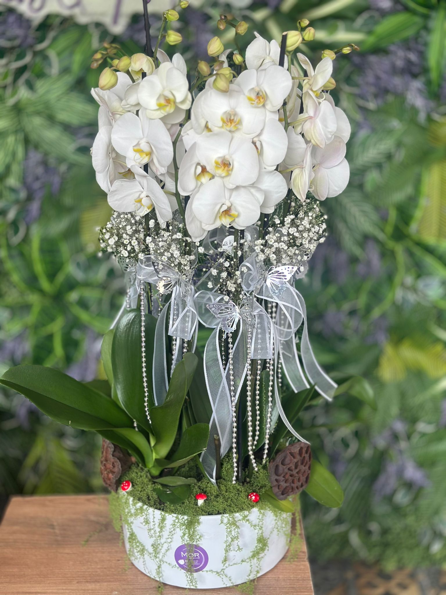 Özel Seramikte İthal 8 Dal Orkide Arajmanı