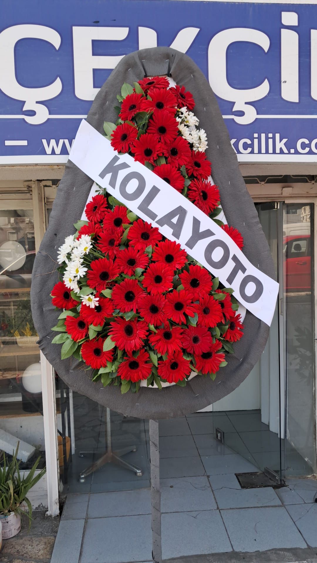 Armut Model Canlı Kırmızı Cenaze Çelenk